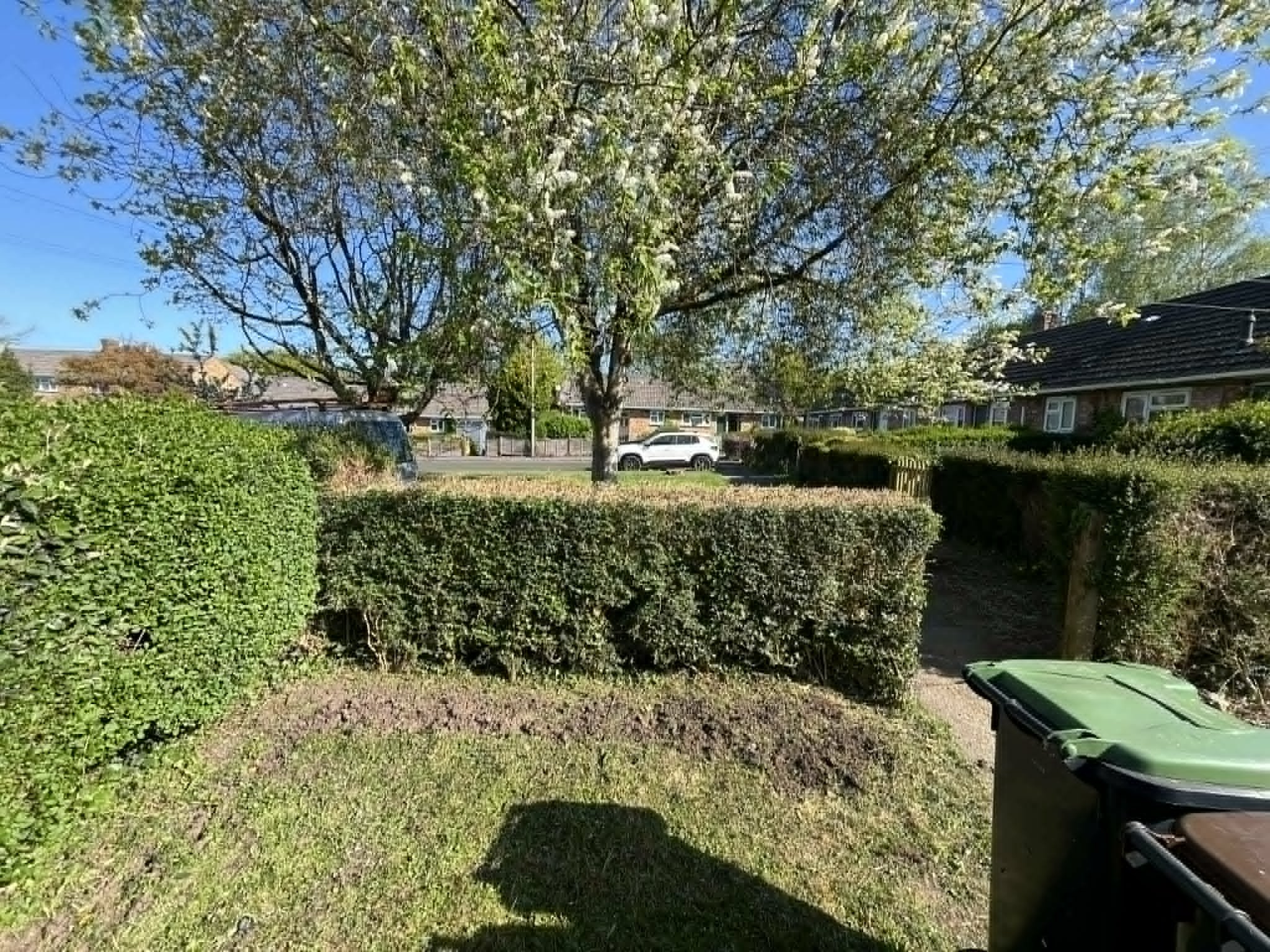 Hedge trim